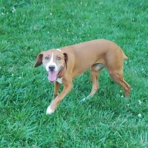 Meet your Posher, April